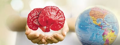 our-story-01 Ganoderma Mundial